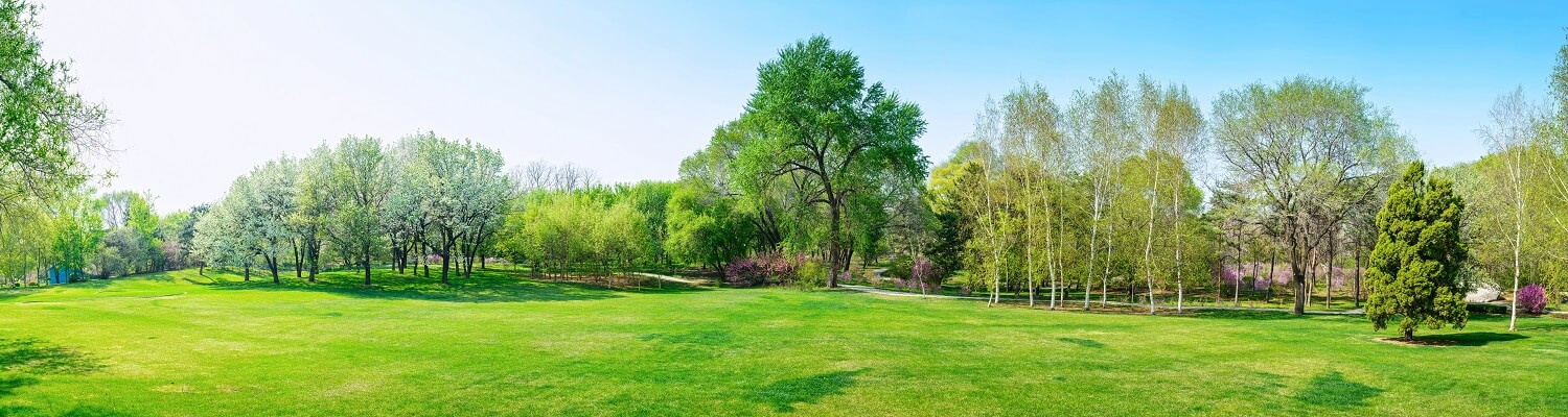 استاندارد حسابداری شماره ۳۳ – مزایای بازنشستگی کارکنان